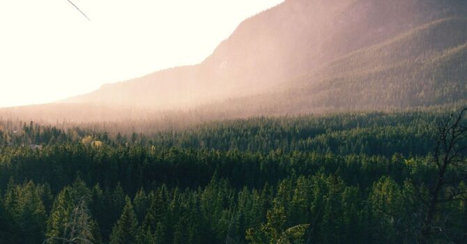 Gratitude vs. Cynicism, Sappy vs. Sophisticated: Who Wins? image